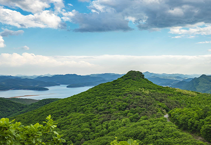 首页- 尊龙集团中国官方网站